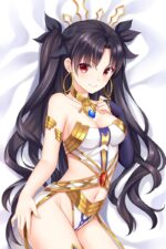 ishtar dakimakura