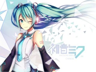 18 Hatsune Miku Dakimakura Before You Buy Any Dakimakura