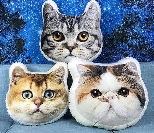 custom cat pillow