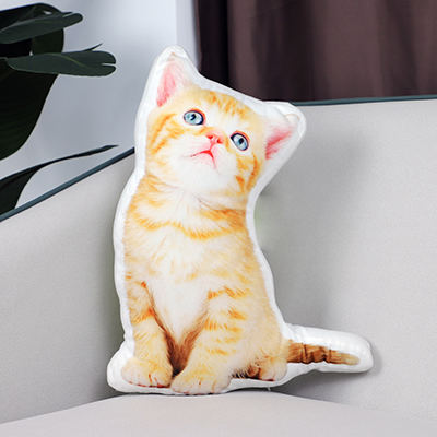 custom cat pillow