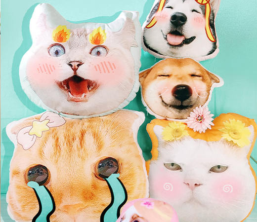 Custom Dog Face Pillow Images