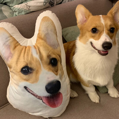 Custom Dog pillow for dogs