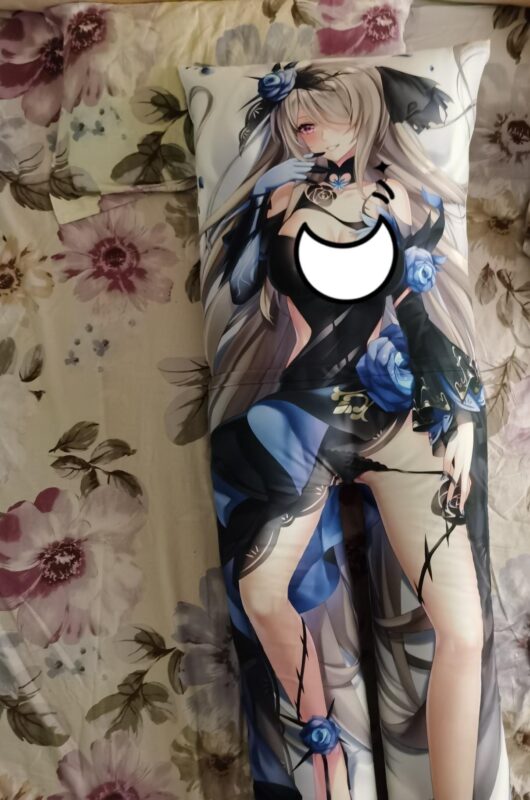 Hentai Body Pillow real pictures (1)