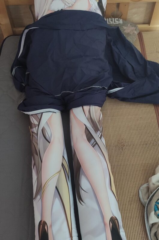 Hentai Body Pillow real pictures (2)