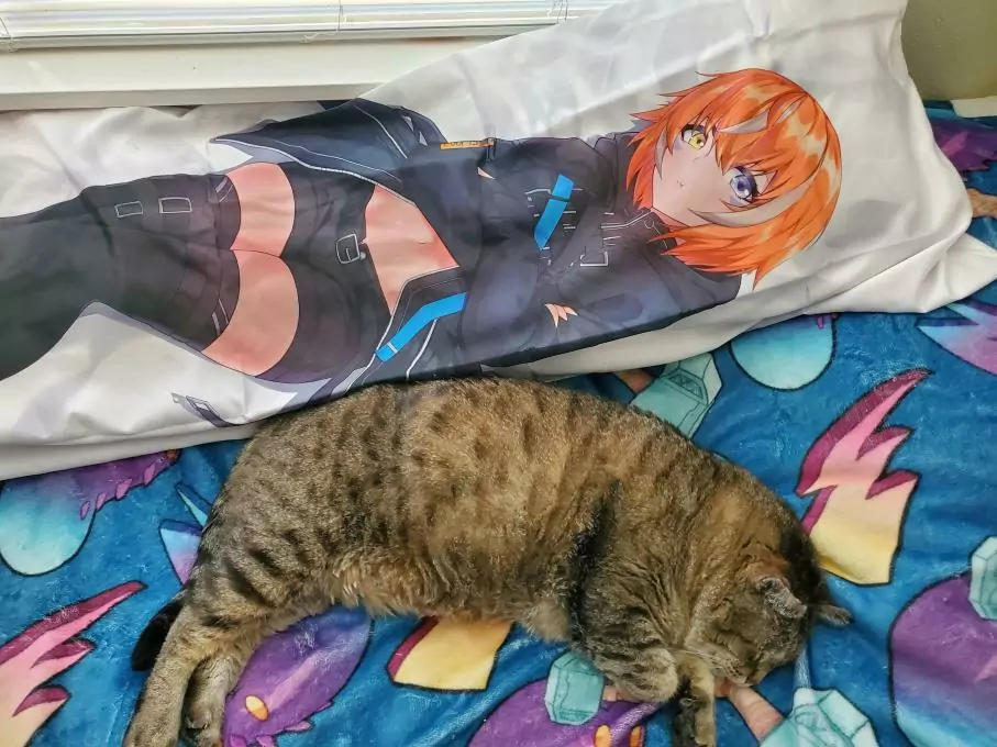 Image #1 from James Caywood